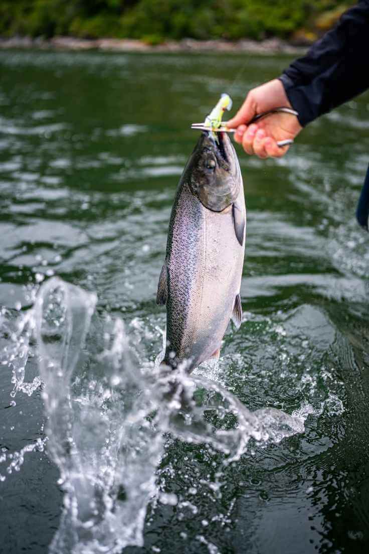 Angler holding a trout caught on an Irish river