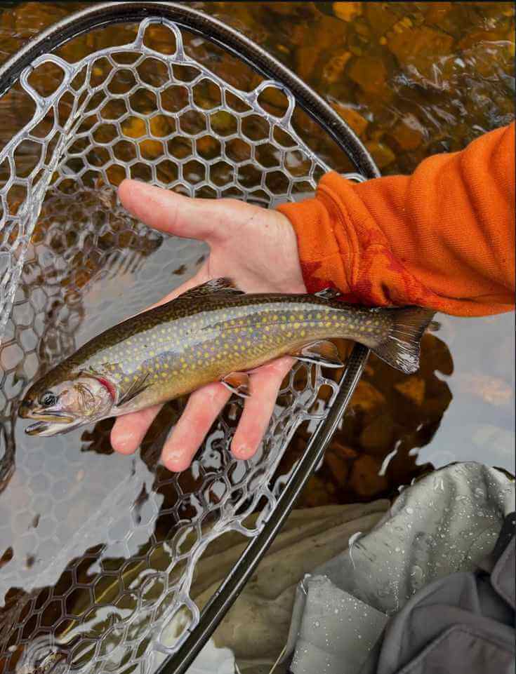 Fishing lure close-up above clear water