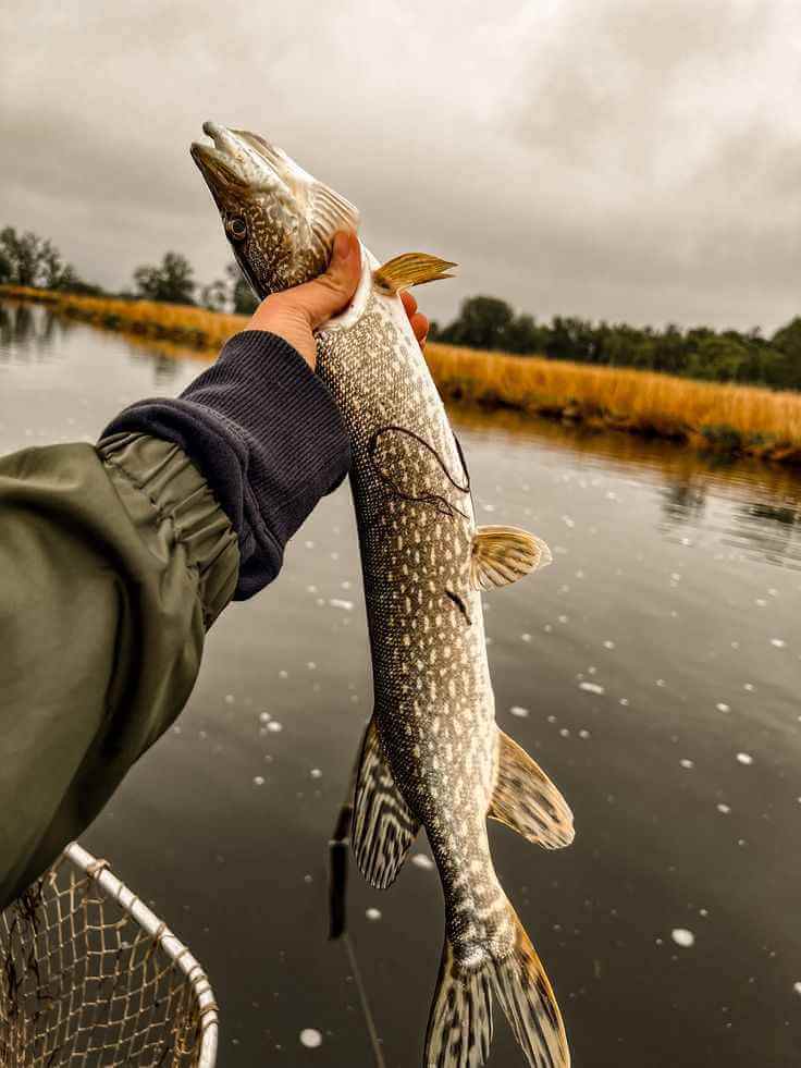 Fishing rod resting beside a calm Irish lake