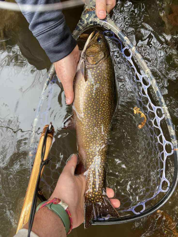 Winter fishing scene with snow by the lakeshore