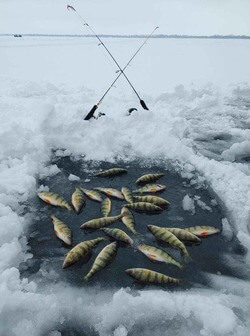 Happy angler with a pike caught on a guided trip